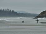 Surfista e seu cachorro enfrentam as águas geladas de praia em Tofino, na costa oeste de Vancouver Island, litoral da British Columbia, oeste do Canadá